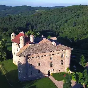 Chateau De Maisonseule 3*, Saint-Basile Franciaország